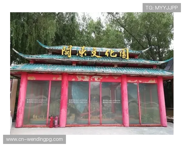 问鼎娱乐手机娱乐：手机娱乐行业未来发展趋势深度解析