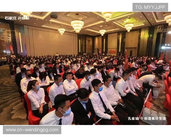 问鼎官网下载正版软件，官方渠道保障软件安全与更新及时